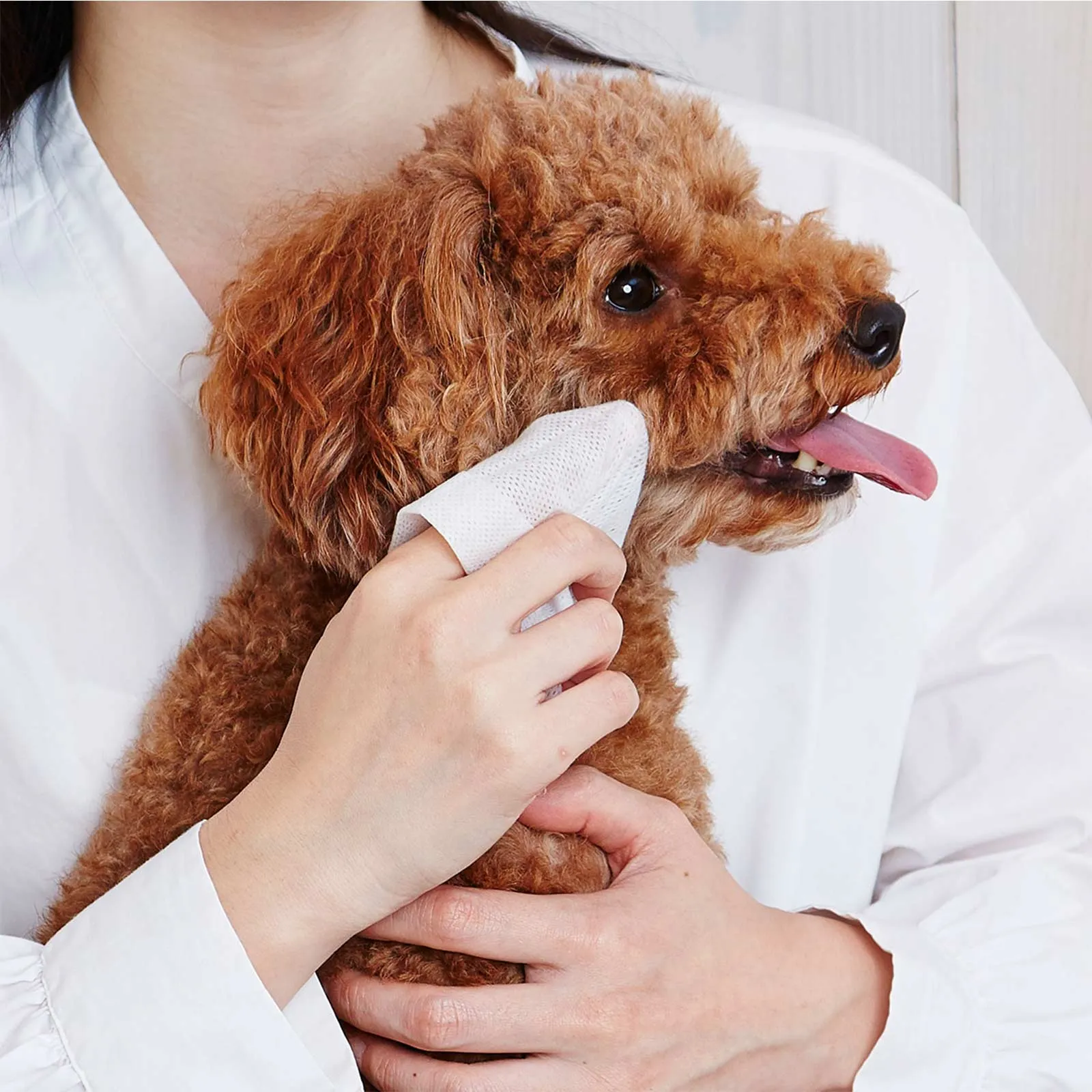 PETIO Pet Facial Wet Wipes 30 sheets (2 Packs)