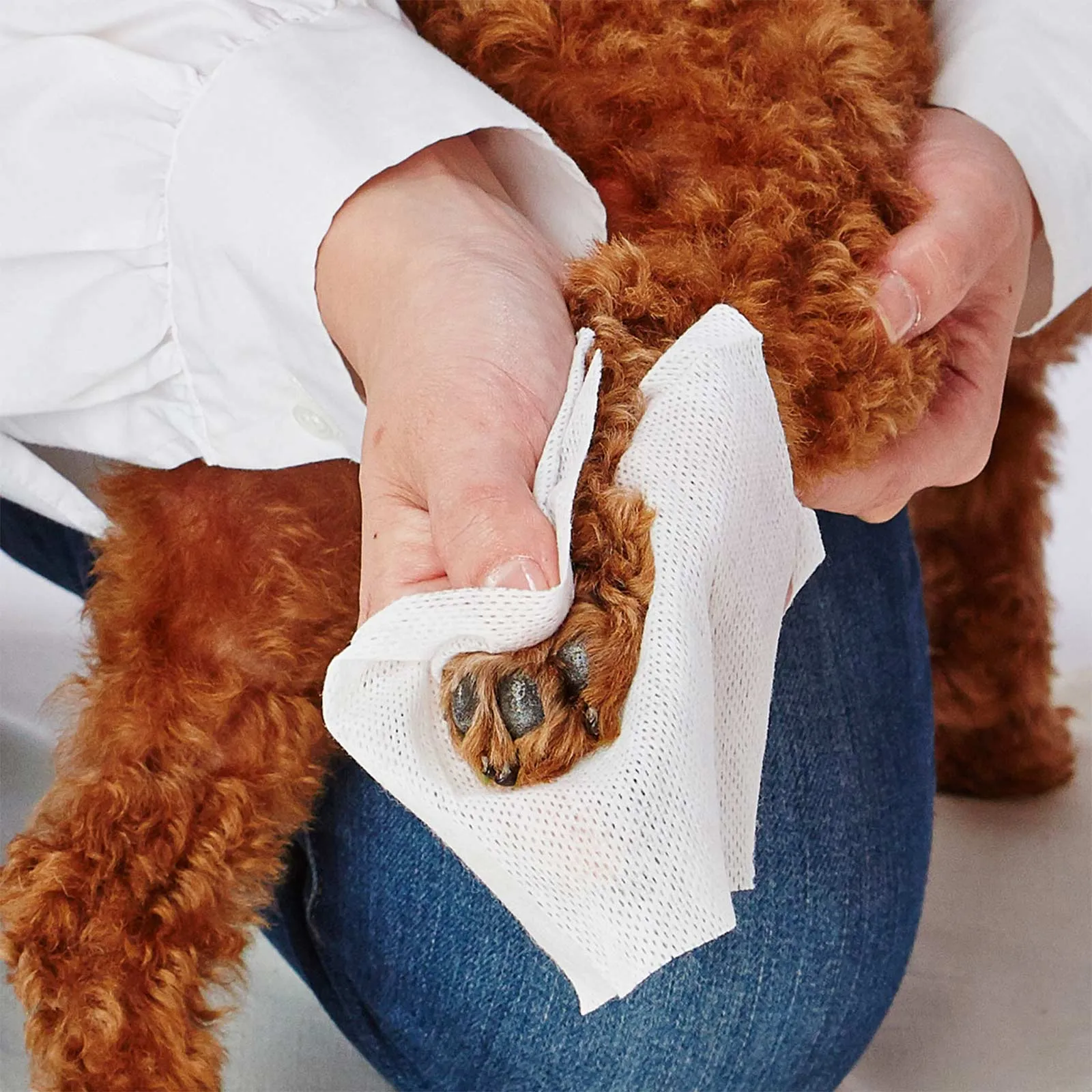 PETIO Pet Paw Wet Wipes 30 sheets (2 Packs)